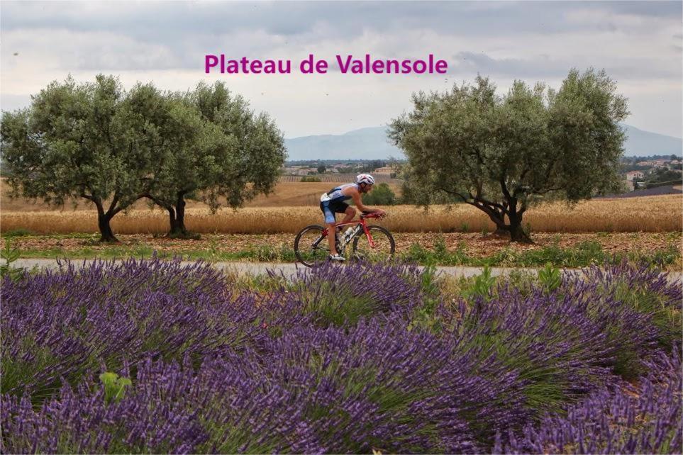 Coeur De Ville, T2, Rue Pietonne, Digne Les Bains Zewnętrze zdjęcie